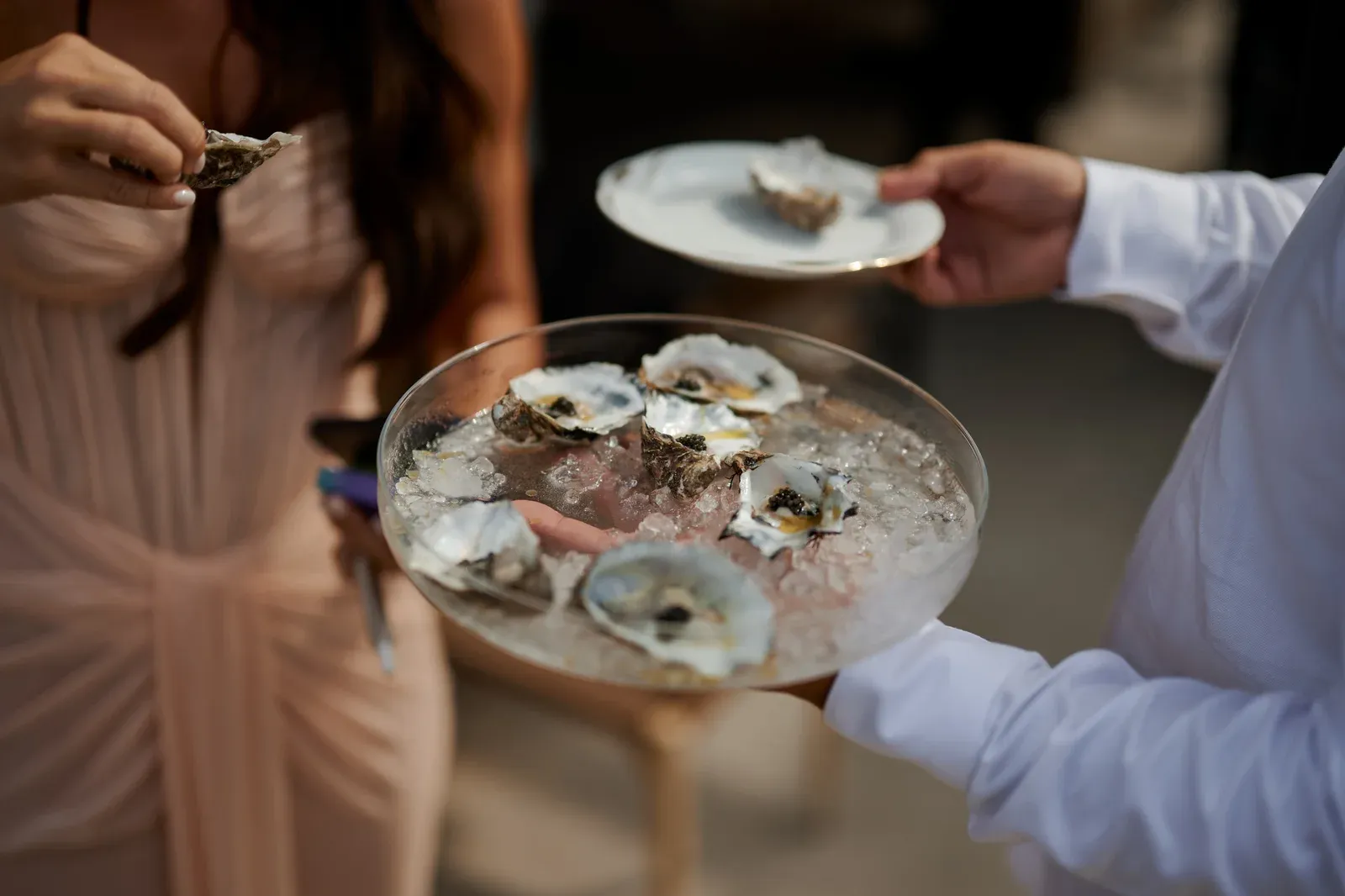 Fresh oysters on ice