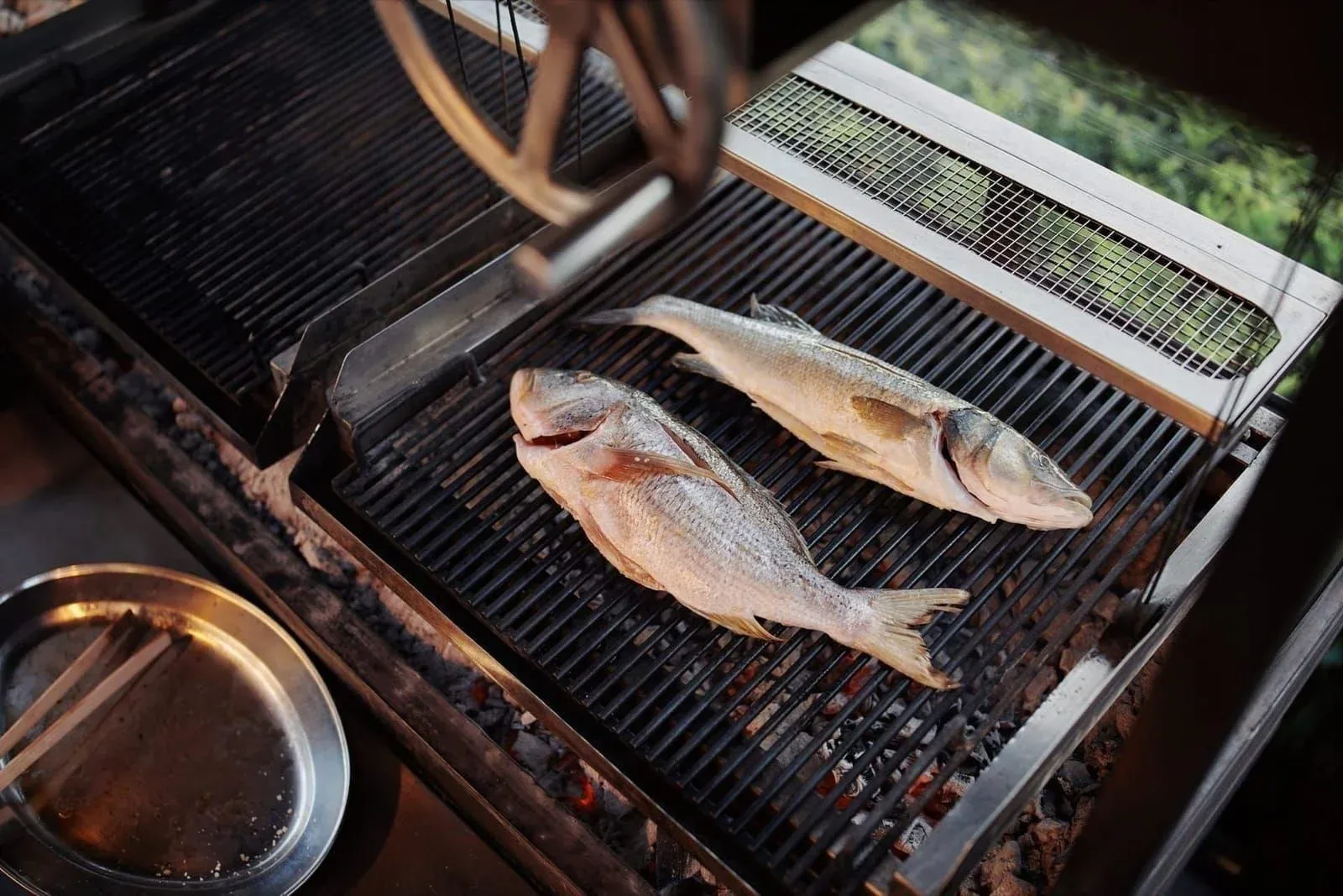 Fresh Adriatic sea bass on charcoal grill